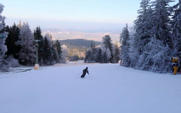 Offerta di piste Hohenbogenwinkel – Offerta di piste Hohenbogen - Neukirchen bei Hl. Blut