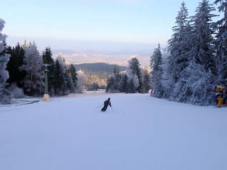 Offerta di piste Baviera Settentrionale  – Offerta di piste Hohenbogen - Neukirchen bei Hl. Blut