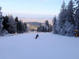 Hohenbogen - Neukirchen bei Hl. Blut