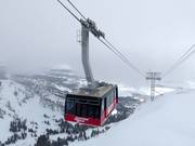 Jackson Hole Aerial Tram - 100pers.| Cabinovia