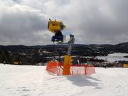 Cannone da neve al Mont Tremblant