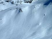 La pista nera Fée 6