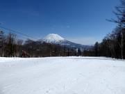 Pista facile Final Fling (Niseko Village)