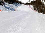 Pista Mélèze sotto la funivia Las Donnas