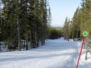 Pista Baldersbacken n. 14