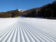 Ottima preparazione delle piste nell’area sciistica di Thredbo