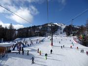 Pista facile Bamby a Folgàrida