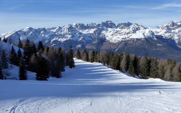 Offerta di piste Altopiano della Paganella/Dolomiti di Brenta/Lago di Molveno – Offerta di piste Paganella - Andalo