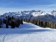 Nuova pista Jana Granda