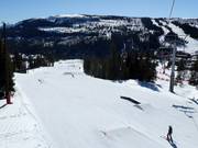 Suggerimento per i più piccoli 