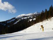 Vista verso Lawinenstein
