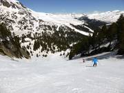 Pista Granota nel settore Grau Roig