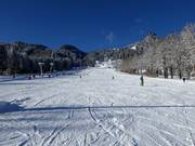 La pista di esercitazione al Draxlhang