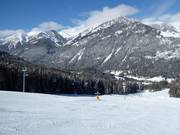 Pista facile Stringer