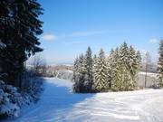 La pista inferiore gira intorno al bosco.