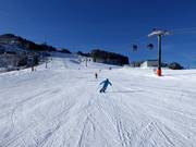 Pista presso la MK Maiskogelbahn