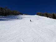 Pista nera presso la cabinovia Tagliede Costaccia