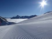 L’attesa delle prime tracce