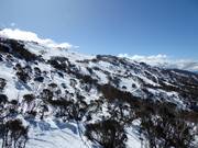 Pendii freeride e di neve fresca nella parte superiore di Thredbo