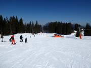 I principianti qui sono in buone mani.