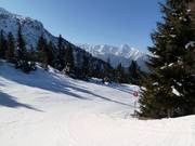 Discesa n. 2 dall'Arbiskogel