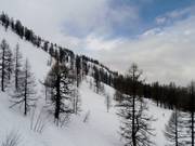 Zona freeride poco sopra Lognan