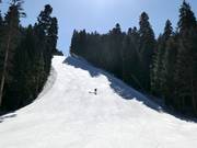 Pista Martinovi baraki 4