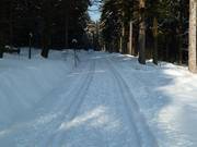 Pista di sci di fondo Königskron presso la stazione a monte degli impianti di risalita al Bayreuther Haus