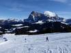 Offerta di piste Catinaccio – Offerta di piste Alpe di Siusi (Seiser Alm)