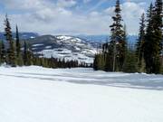 Tipica pista tra le radure del bosco a Kimberley