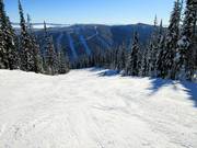 Discesa Cruiser con vista sulle discese del Mt. Morrisey