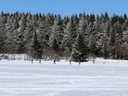 Sci di fondo a Boží Dar