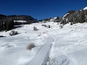 Pista da fondo a Villars