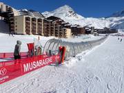 Musaraigne - Tapis roulant con galleria