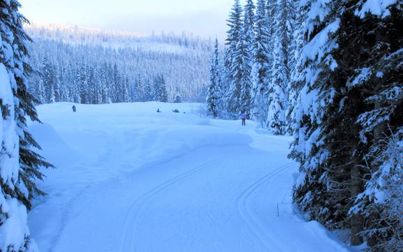 Sci di fondo Thompson-Nicola – Sci di fondo Sun Peaks