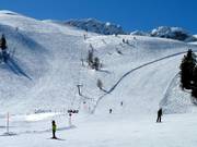 Kanonenrohrlift - Skilift con T-bar/ancora