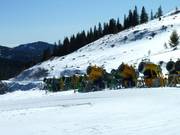 I cannoni da neve non mancano