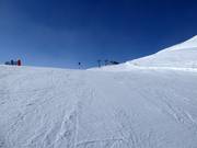 Pista facile n. 2 Wilder Mann