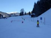 Babylift Viehhofen - Manovia/Babylift a fune bassa