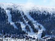 Vista sulle difficili discese nei corridoi boschivi presso gli skilift di Solliften a Tandådalen