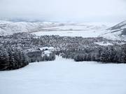 Discesa difficile Grizzly