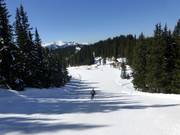 Discesa Märchenwiesen Planai