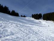 Discesa maschile FIS Weiherkopf difficile