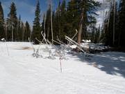 Cannoni da neve a Snowmass