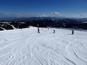 Pista facile presso la seggiovia Lachtal