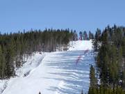 Pista difficile Frida Race Arena n. 11