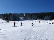 Pista facile Pod Zámečkem