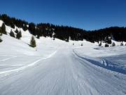 Facile discesa per famiglie a Grasgehren