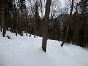 Discesa difficile nel bosco La Chûte