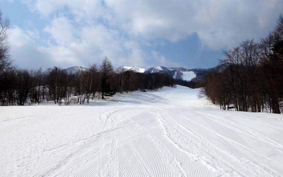 Offerta di piste Prince Snow Resorts – Offerta di piste Furano